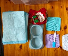 New puppy set, training mats, feeding bowls, lick mats, treat bag