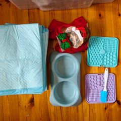 New puppy set, training mats, feeding bowls, lick mats, treat bag
