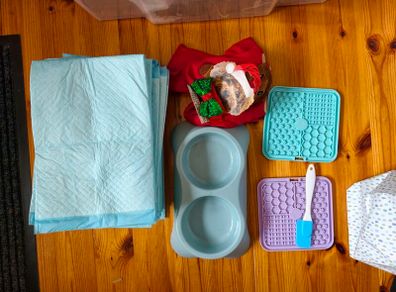 New puppy set, training mats, feeding bowls, lick mats, treat bag