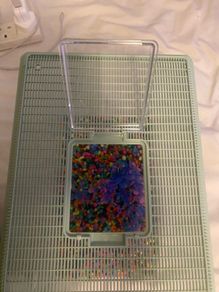 Fish Tank