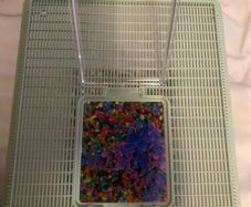 Fish Tank