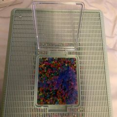 Fish Tank