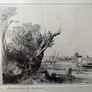 Rembrandt van Rijn (1606 1669) Image 2