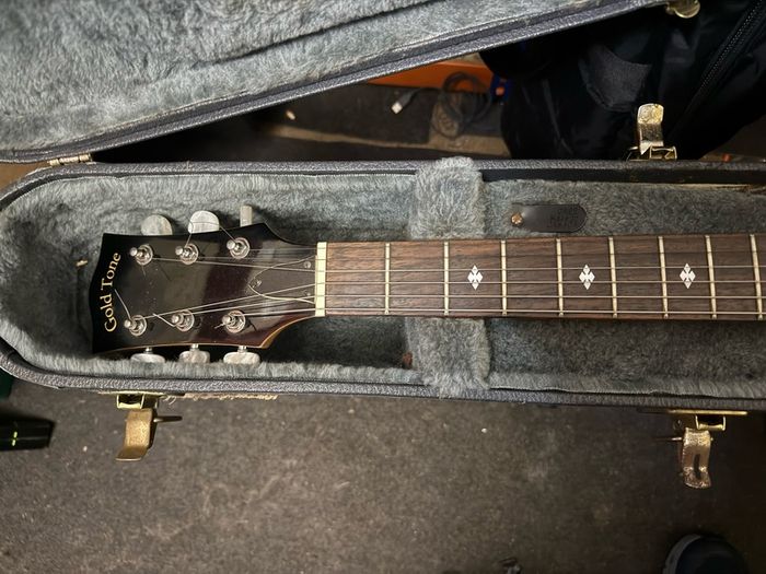 Goldtone 6string banjo