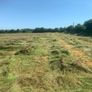 Round bales of hay (No fert, sprays or slurry ) Image 2