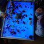 Learning light table Image 8
