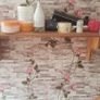 shelf Image 2