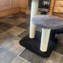cat tree Image 3