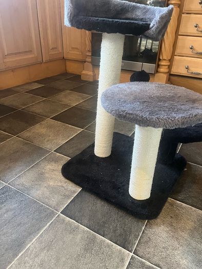 cat tree