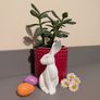 Some-bunny to Love Image 5