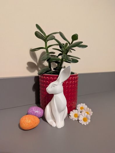 Some-bunny to Love
