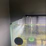 fish tank Image 5