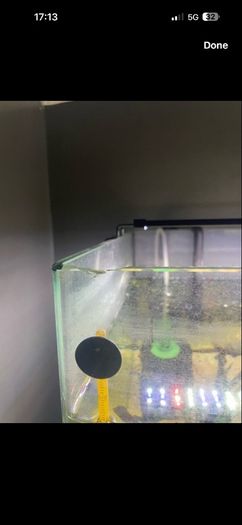 fish tank