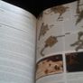 Kingdoms of Amalur RECKONING Guide Image 5