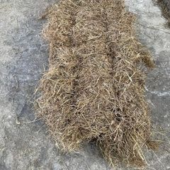 Square Hay Bales