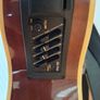 Acoustic Bass Guitar Image 4