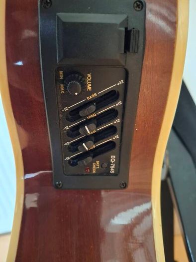 Acoustic Bass Guitar