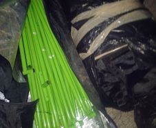 grow tent large