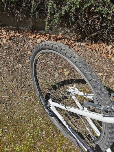 Felt Q600 Mountain Bike