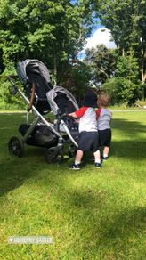 UPPAbaby Travel System  Gregory v2