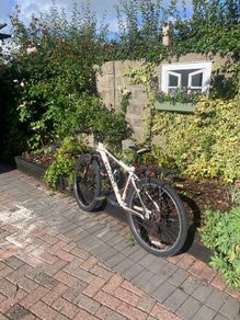 Carrera mountain bike - white