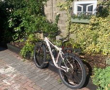 Carrera mountain bike - white