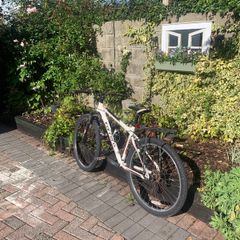 Carrera mountain bike - white