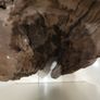 African driftwood carving Image 3