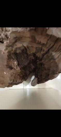 African driftwood carving
