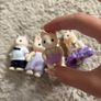 sylvanian Image 2