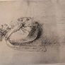 The drawings of Leonardo da Vinci by Popham Image 4
