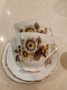 Vintage Royal Tara Bone china trio