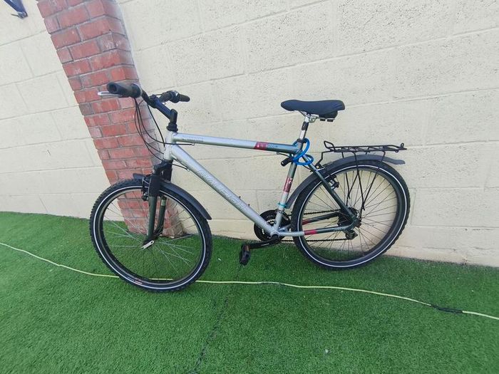 Raleigh AT100 freeride