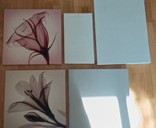 Floral Prints + Blank Canvas Set