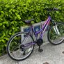 Women's Bike Image 5