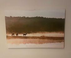 Canvas photo print