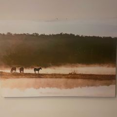 Canvas photo print