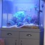 Fluval Shaker 168ltr Aquarium and Gray Cabinet Image 6