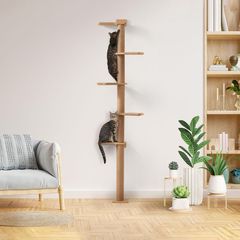 Cat Ladder (with extra accessories)