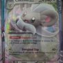 pokemon chaos rising Image 7