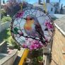Robin Suncatcher Image 8