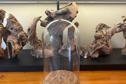 Antique Cloche Glass Dome