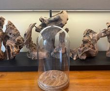 Antique Cloche Glass Dome