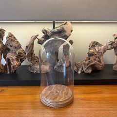 Antique Cloche Glass Dome