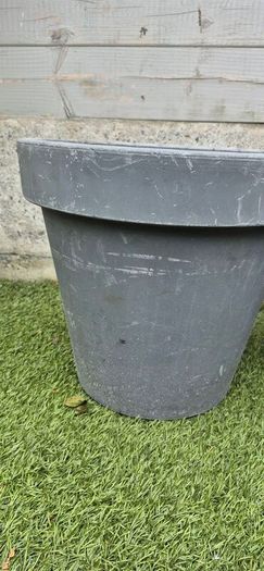 large flower pot