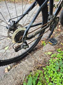 Carrera mountain bike