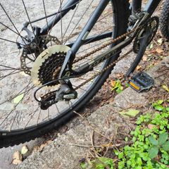 Carrera mountain bike