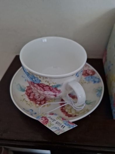 cup & saucer hydrangea