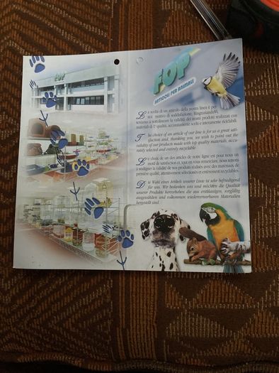 Bird Cage