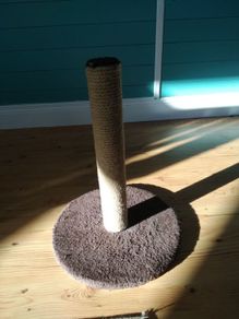Cat Scratching Post